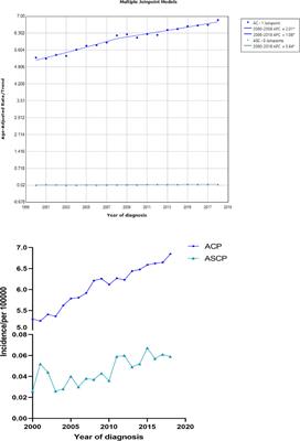 Survival Analysis and Prediction Model of ASCP Based on SEER Database